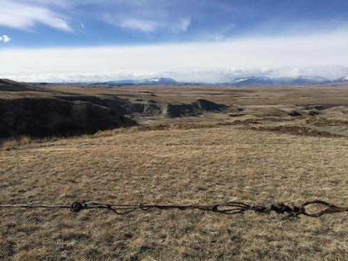 Dried out rangeland pasture is shown with mountains behind. 